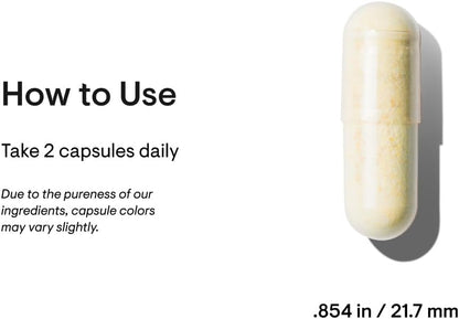 THORNE - Basic Nutrients 2/Day - Comprehensive Daily Multivitamin with Optimal Bioavailability - Vitamin & Mineral Formula - Gluten, Dairy & Soy-Free - 60 Capsules - 30 Servings - My Store