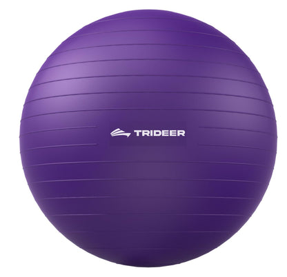 Trideer Extra Thick Yoga Ball Exercise Ball, 5 Sizes Gym Ball, Heavy Duty Ball Chair for Balance, Stability, Pregnancy, Quick Pump Included - My Store