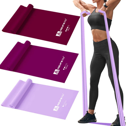 Resistance Bands,Professional Long Non-Latex Elastic Stretch Bands,Exercise Bands for Physical Therapy, Yoga, Pilates, Rehab, at-Home or The Gym Workouts, Strength Training - My Store