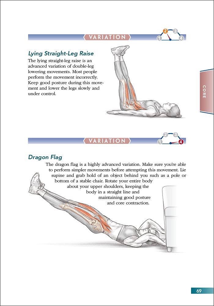 Bodyweight Strength Training Anatomy - My Store