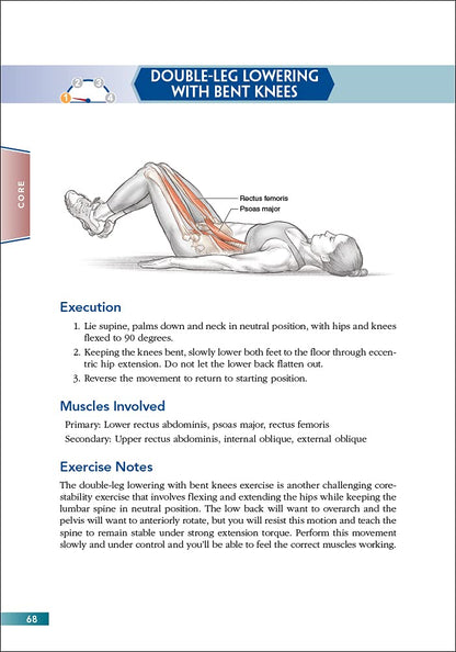 Bodyweight Strength Training Anatomy - My Store
