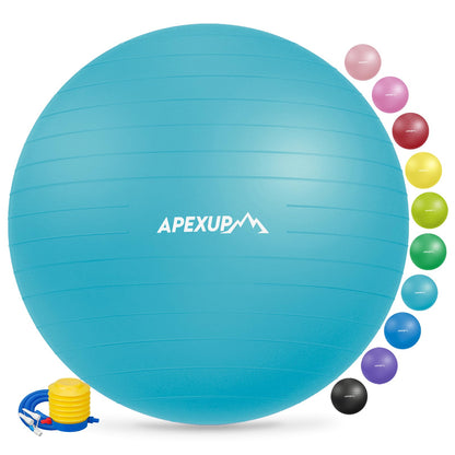 APEXUP Yoga & Pilates Ball - Anti Slip Heavy Duty Gym Ball for Fitness, Balance & Core Workout - My Store