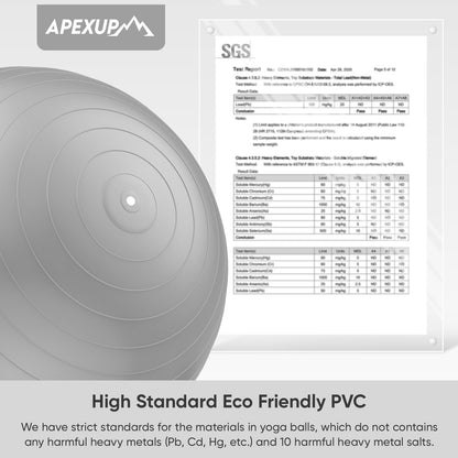 APEXUP Yoga & Pilates Ball - Anti Slip Heavy Duty Gym Ball for Fitness, Balance & Core Workout - My Store