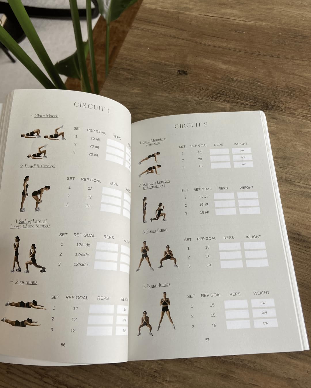 The Guided Workout Journal: Strength & Tone for Beginners: At Home Workout Program | 6 Weeks - My Store