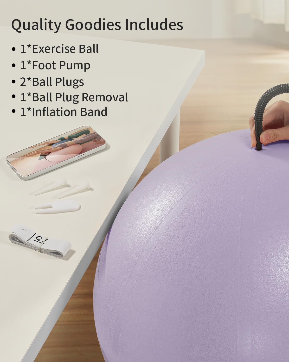 YOTTOY Anti-Burst Exercise Ball for Working Out, Yoga & Pregnancy, Extra Thick Workout Ball for Physical Therapy & Fitness - My Store