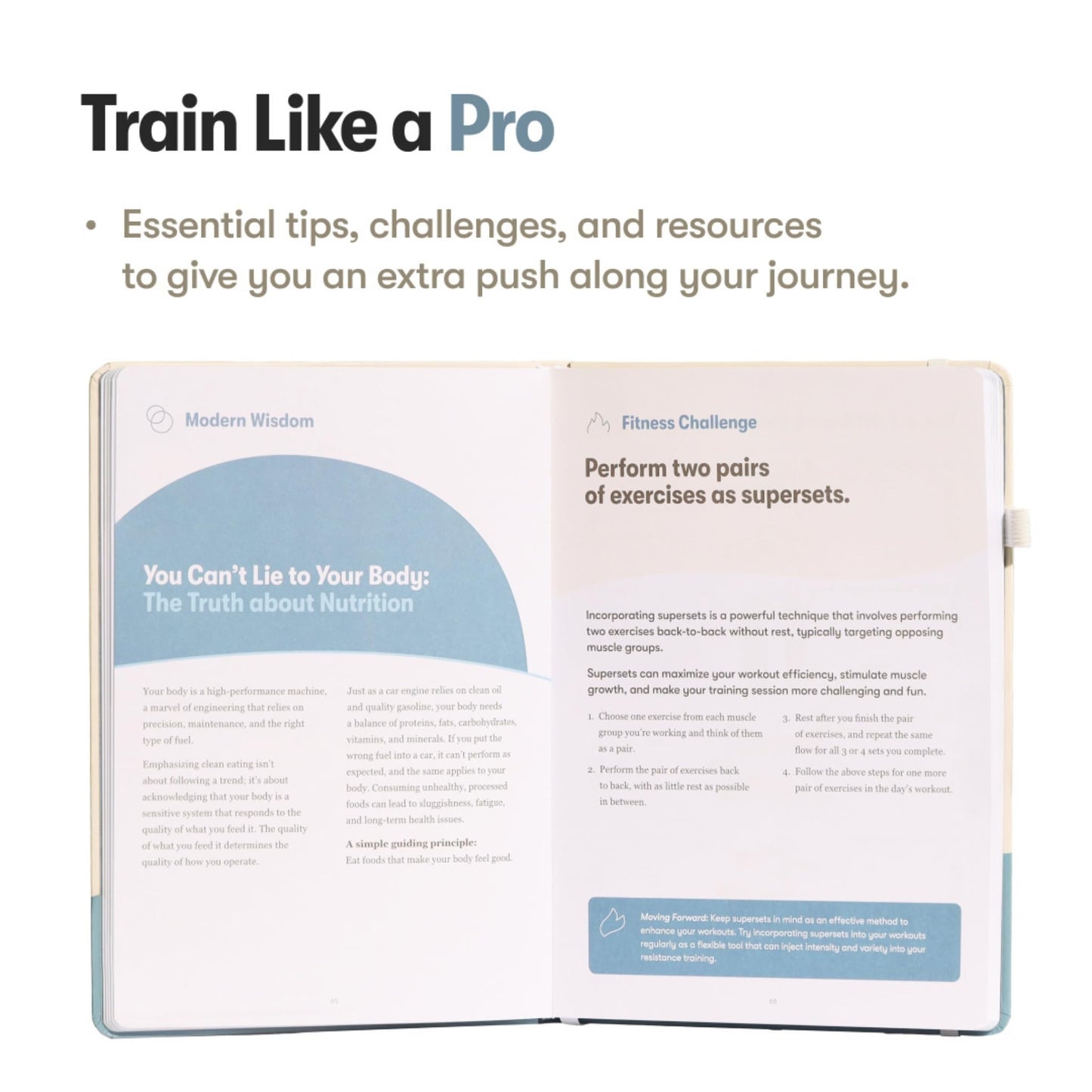 The Dumbbell Home Workout Journal. 13 Week Program. Fitness Planner/Workout Book that Only Requires Dumbbells. Workout Journal for Women & Men. - My Store