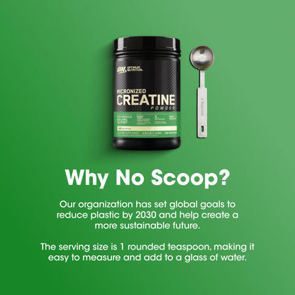 Optimum Nutrition Micronized Creatine Monohydrate Powder, Unflavored, 60 Servings, 300 Grams (Packaging May Vary) - My Store