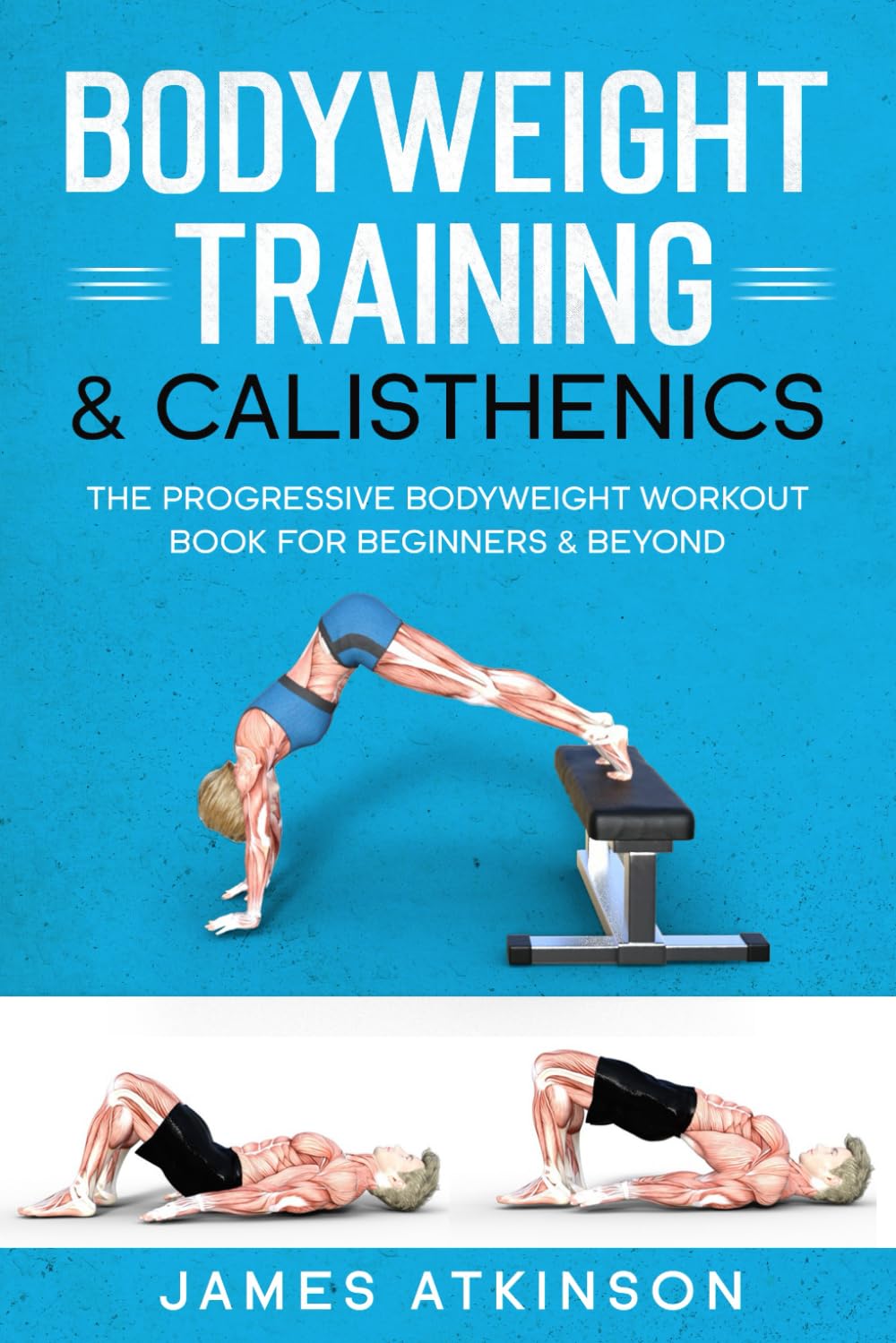 Bodyweight Training & Calisthenics: The Progressive Bodyweight Workout Book For Beginners & Beyond (Weight training & resistance workouts) - My Store