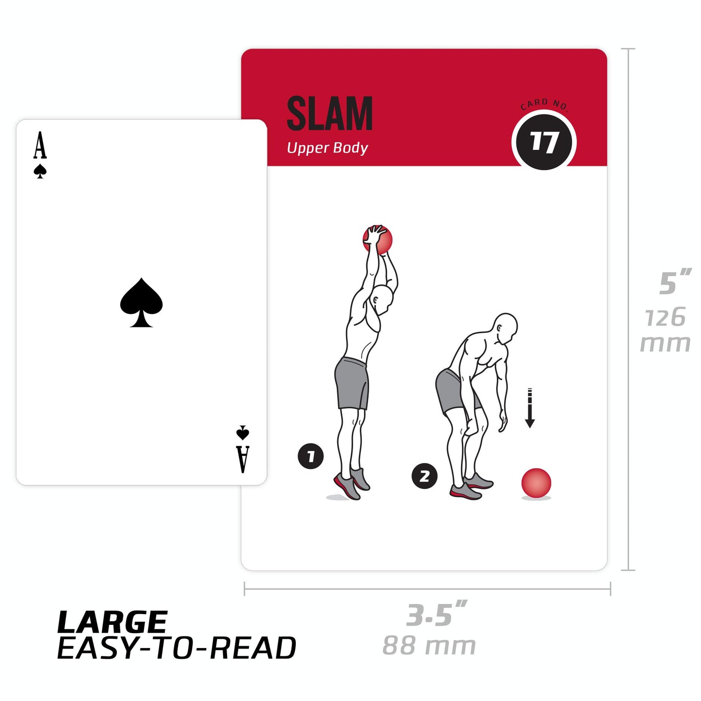 NewMe Fitness Stretching Workout Cards, Instructional Fitness Deck for Women & Men, Beginner Fitness Guide to Training Exercises at Home or Gym - My Store