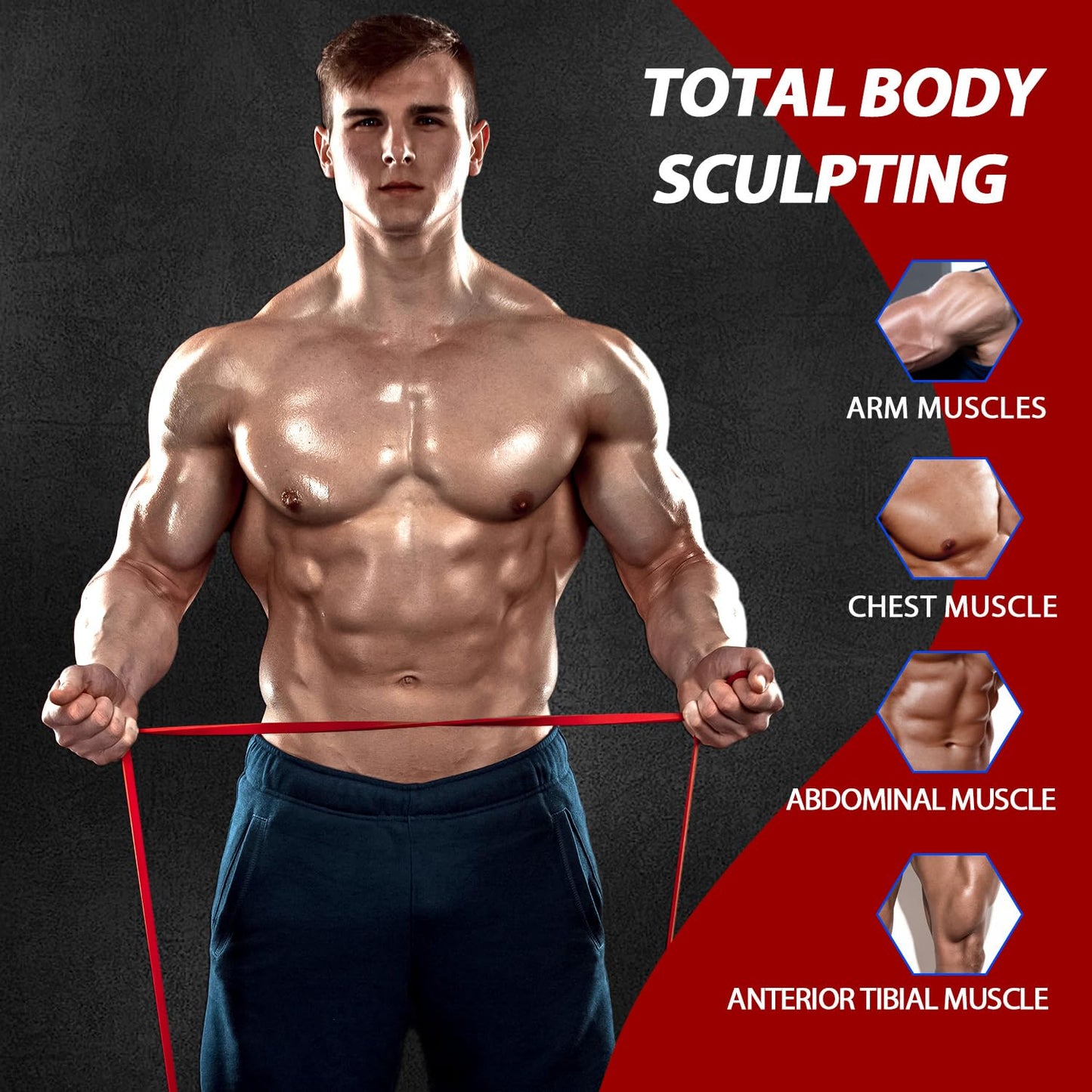 LEEKEY Resistance Bands Set for Pull-Up Assistance & Full-Body Training, Multi-Level Exercise Bands with Bag for Home Workouts, Physical Therapy, Strength Training (Men/Women) - My Store