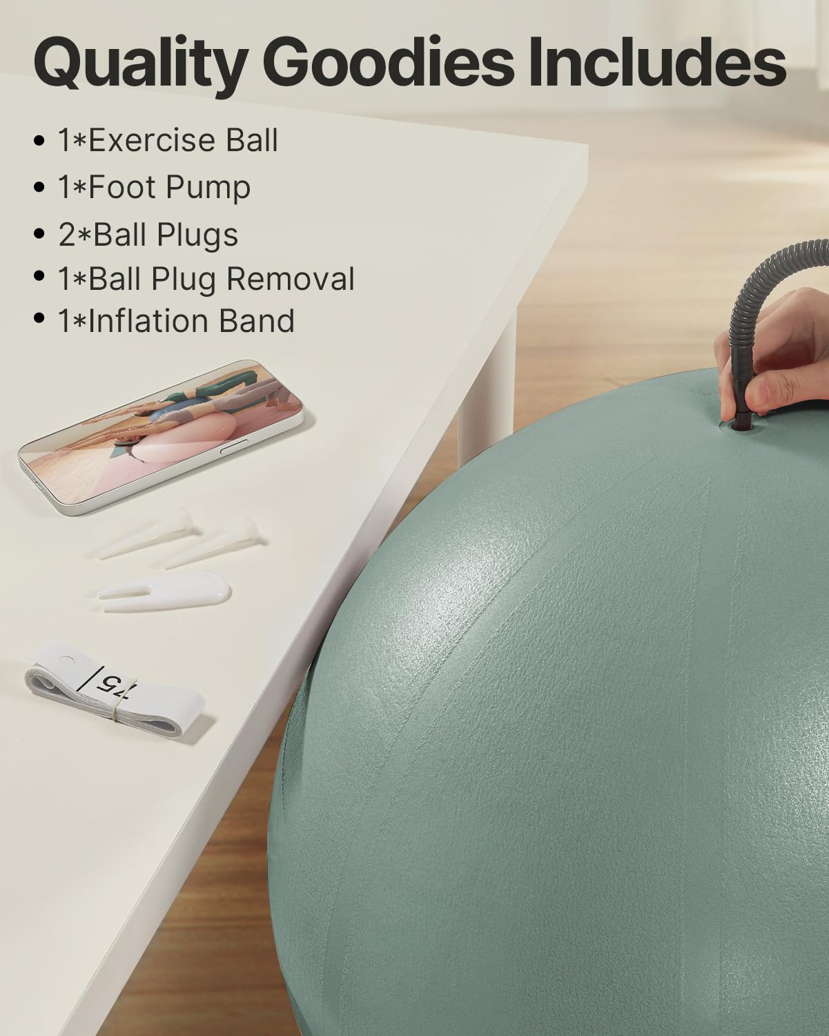 YOTTOY Anti-Burst Exercise Ball for Working Out, Yoga & Pregnancy, Extra Thick Workout Ball for Physical Therapy & Fitness - My Store