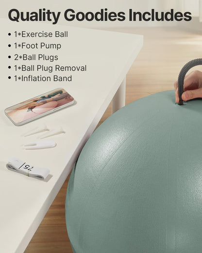 YOTTOY Anti-Burst Exercise Ball for Working Out, Yoga & Pregnancy, Extra Thick Workout Ball for Physical Therapy & Fitness - My Store