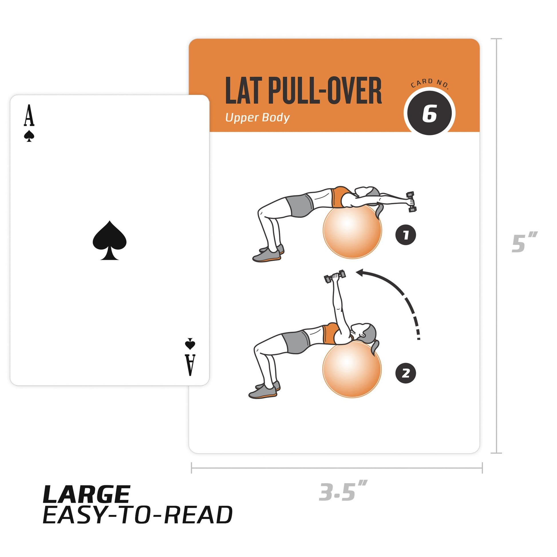 NewMe Fitness Stretching Workout Cards, Instructional Fitness Deck for Women & Men, Beginner Fitness Guide to Training Exercises at Home or Gym - My Store