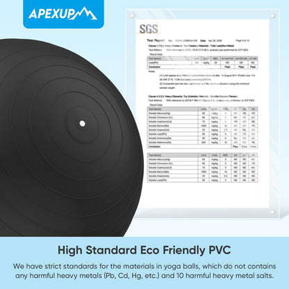 APEXUP Yoga & Pilates Ball - Anti Slip Heavy Duty Gym Ball for Fitness, Balance & Core Workout - My Store