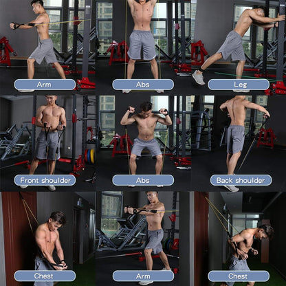 WHATAFIT Resistance Bands, Exercise Bands，Resistance Bands for Working Out, Work Out Bands with Handles for Men and Women Fitness, Strength Training Home Gym Equipment - My Store