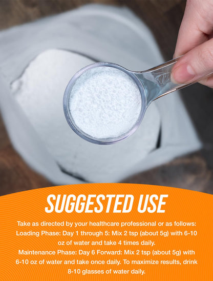 BulkSupplements.com Creatine Monohydrate Powder - Micronized Creatine Powder, Unflavored - Pure & Gluten Free, 5g per Serving, 500g (1.1 lbs) (Pack of 1) - My Store