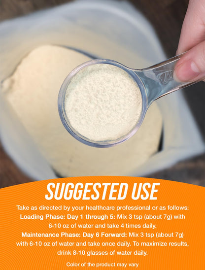 BulkSupplements.com Creatine Monohydrate Powder - Micronized Creatine Powder, Unflavored - Pure & Gluten Free, 5g per Serving, 500g (1.1 lbs) (Pack of 1) - My Store