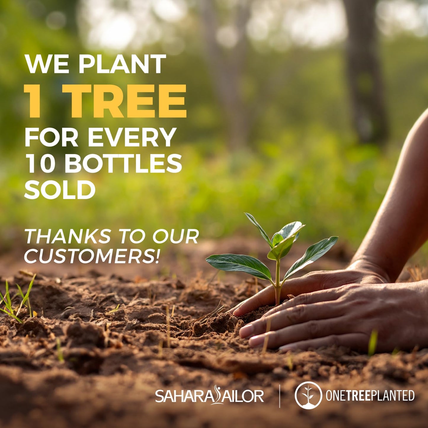 Sahara Sailor Water Bottle, 32/25/17oz Durable and Leakproof Water Bottles Motivational with Time Marker, Tritan, BPA Free, Wide Mouth with Easy Clean Brush for Gym, Travel, School, Office (1 Bottle) - My Store