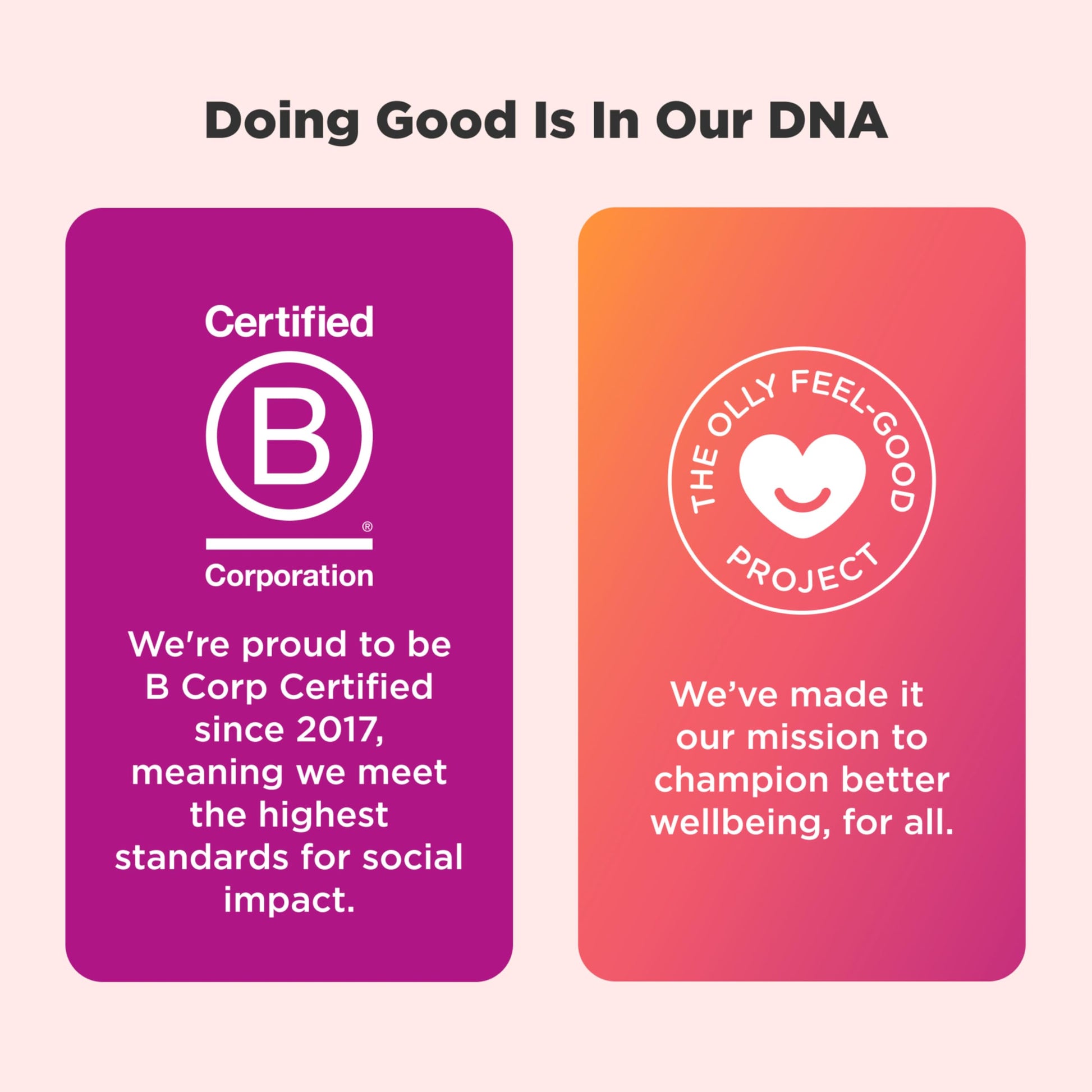 OLLY Women's Multivitamin Gummy, Vitamins A, D, C, E, Biotin, Folic Acid, Adult Chewable Vitamin, Berry Flavor, 45 Day Supply - 90 Count - My Store