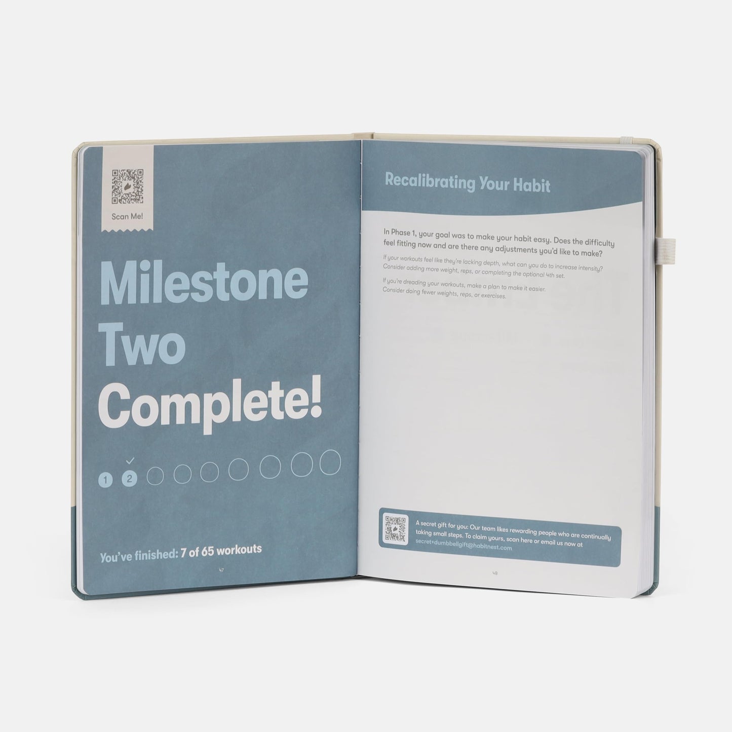 The Dumbbell Home Workout Journal. 13 Week Program. Fitness Planner/Workout Book that Only Requires Dumbbells. Workout Journal for Women & Men. - My Store