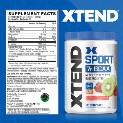 XTEND Sport BCAA Powder Blue Raspberry Ice - Electrolyte Powder for Recovery & Hydration with Amino Acids - 30 Servings