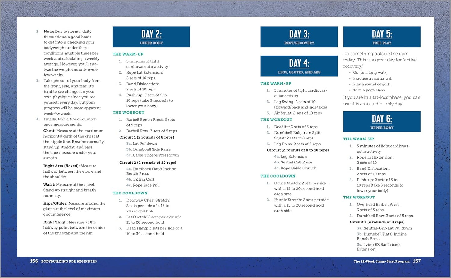 Bodybuilding For Beginners: A 12-Week Program to Build Muscle and Burn Fat - My Store