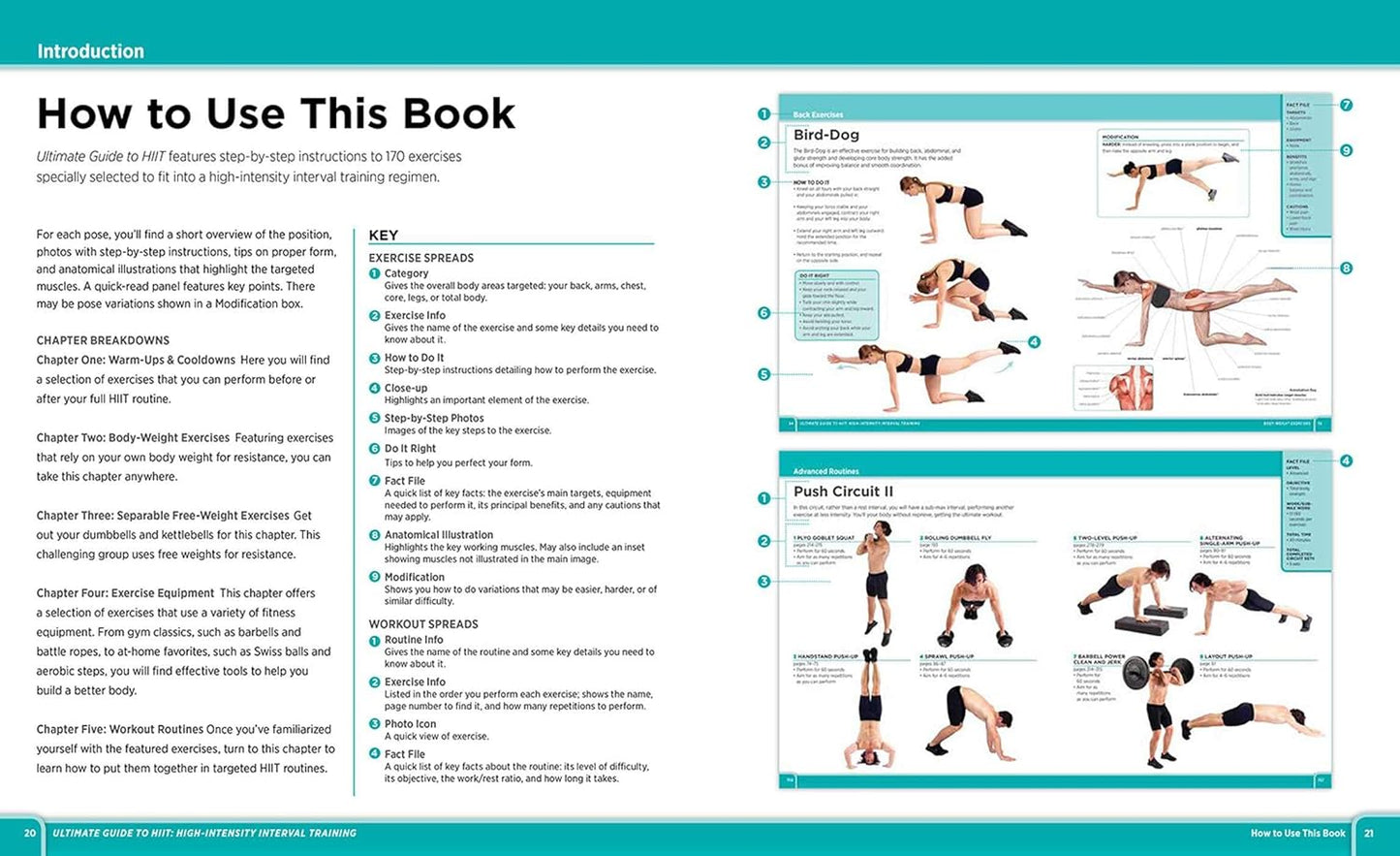 Ultimate Guide to HIIT: High-Intensity Interval Training - My Store