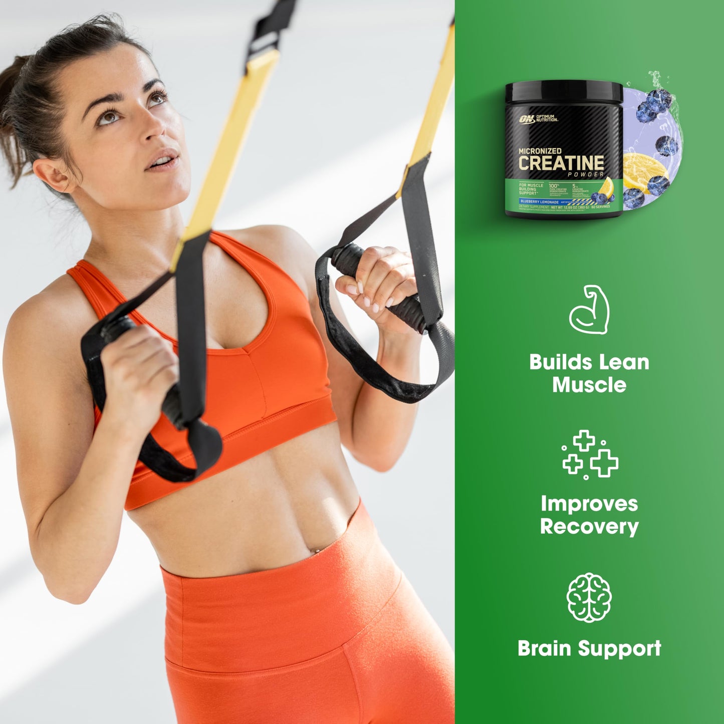 Optimum Nutrition Micronized Creatine Monohydrate Powder, Unflavored, 60 Servings, 300 Grams (Packaging May Vary) - My Store