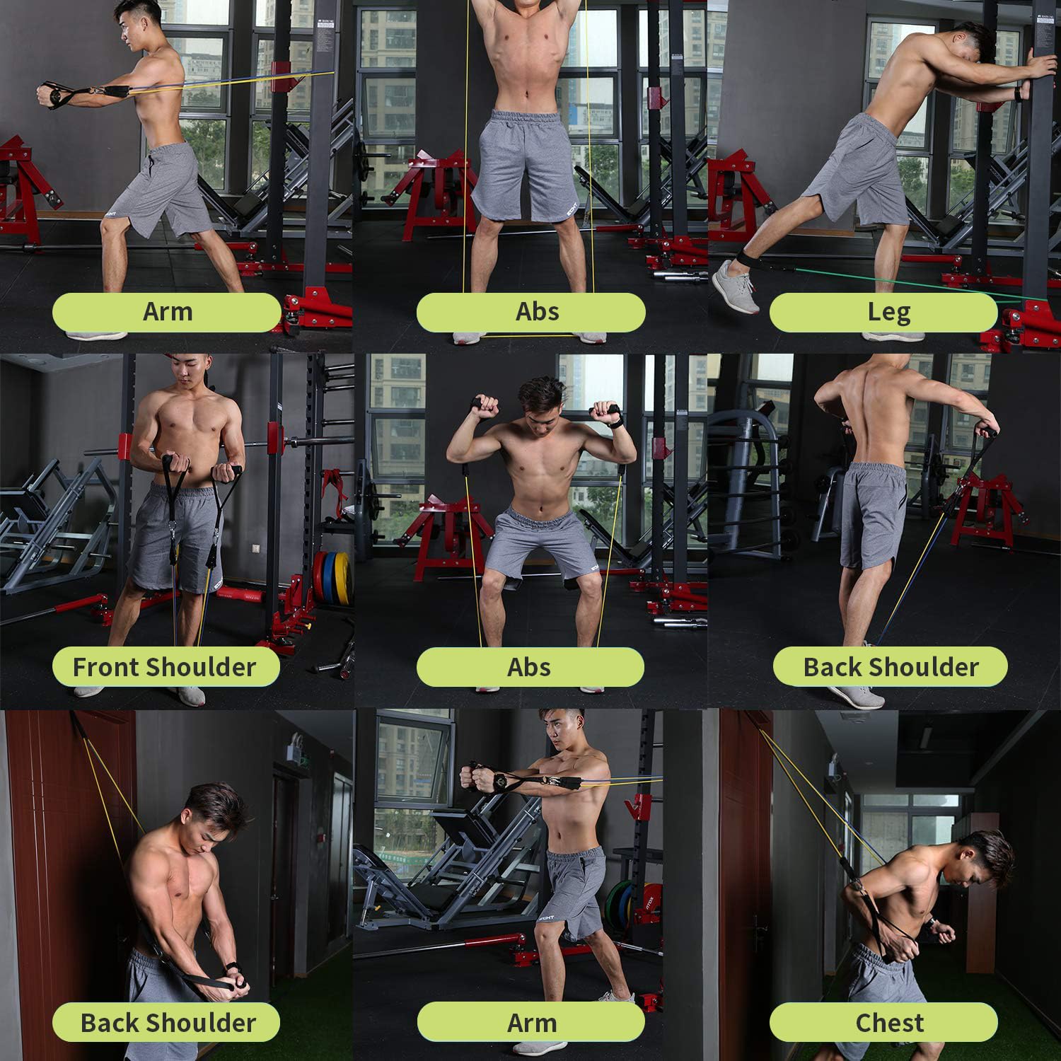 WHATAFIT Resistance Bands, Exercise Bands，Resistance Bands for Working Out, Work Out Bands with Handles for Men and Women Fitness, Strength Training Home Gym Equipment - My Store