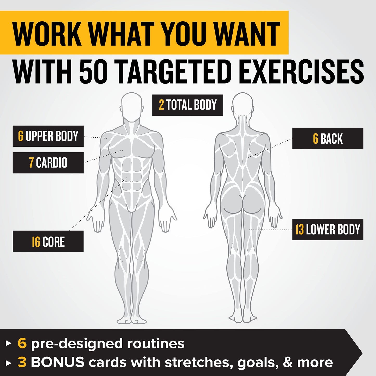 NewMe Fitness Stretching Workout Cards, Instructional Fitness Deck for Women & Men, Beginner Fitness Guide to Training Exercises at Home or Gym - My Store