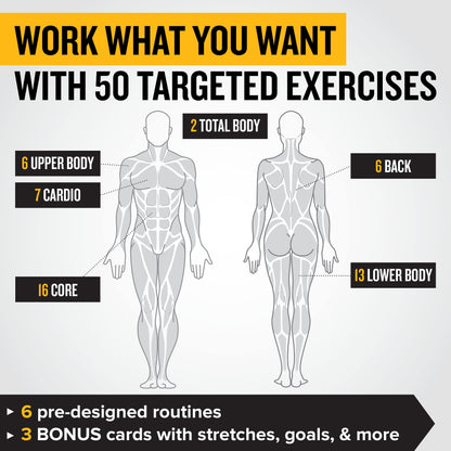 NewMe Fitness Stretching Workout Cards, Instructional Fitness Deck for Women & Men, Beginner Fitness Guide to Training Exercises at Home or Gym - My Store