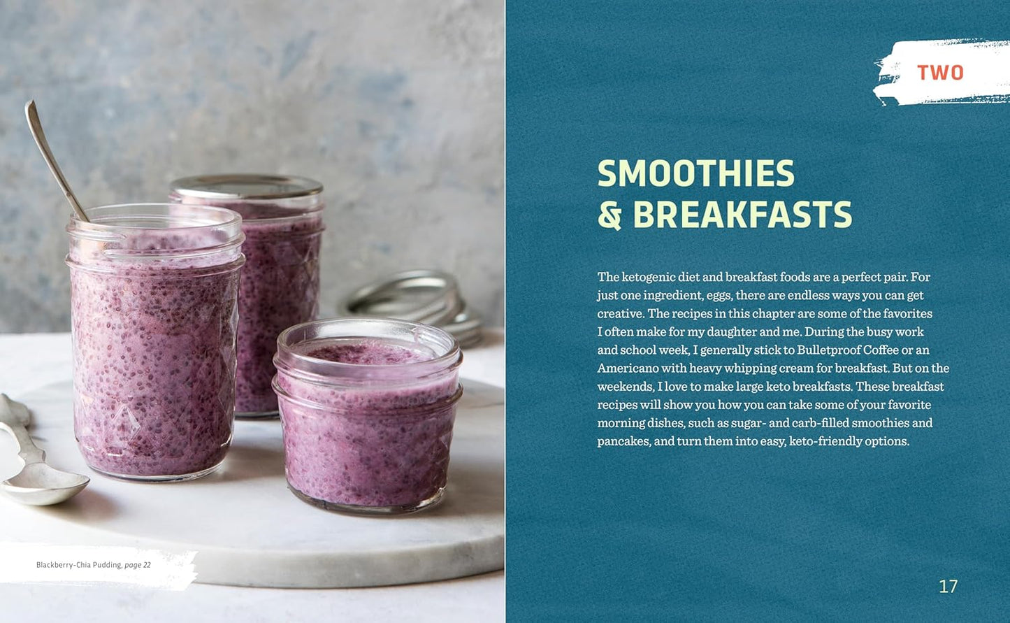 The Easy 5-Ingredient Ketogenic Diet Cookbook: Low-Carb, High-Fat Recipes for Busy People on the Keto Diet - My Store