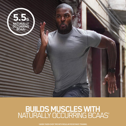 Optimum Nutrition Gold Standard 100% Whey Protein Powder, Double Rich Chocolate, 5 Pound (Packaging May Vary) - My Store