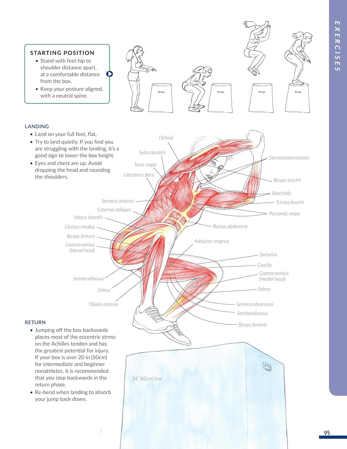New Anatomy for Strength & Fitness Training: An Illustrated Guide to Your Muscles in Action Including Exercises Used in CrossFit (R), P90X (R), and Other Popular Fitness Programs (IMM Lifestyle Books) - My Store