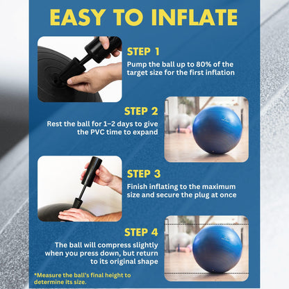 ProBody Pilates Exercise Ball - Multiple Sizes Gym Grade Balance Ball for Fitness, Yoga, Workout, Pregnancy & Physical Therapy - My Store