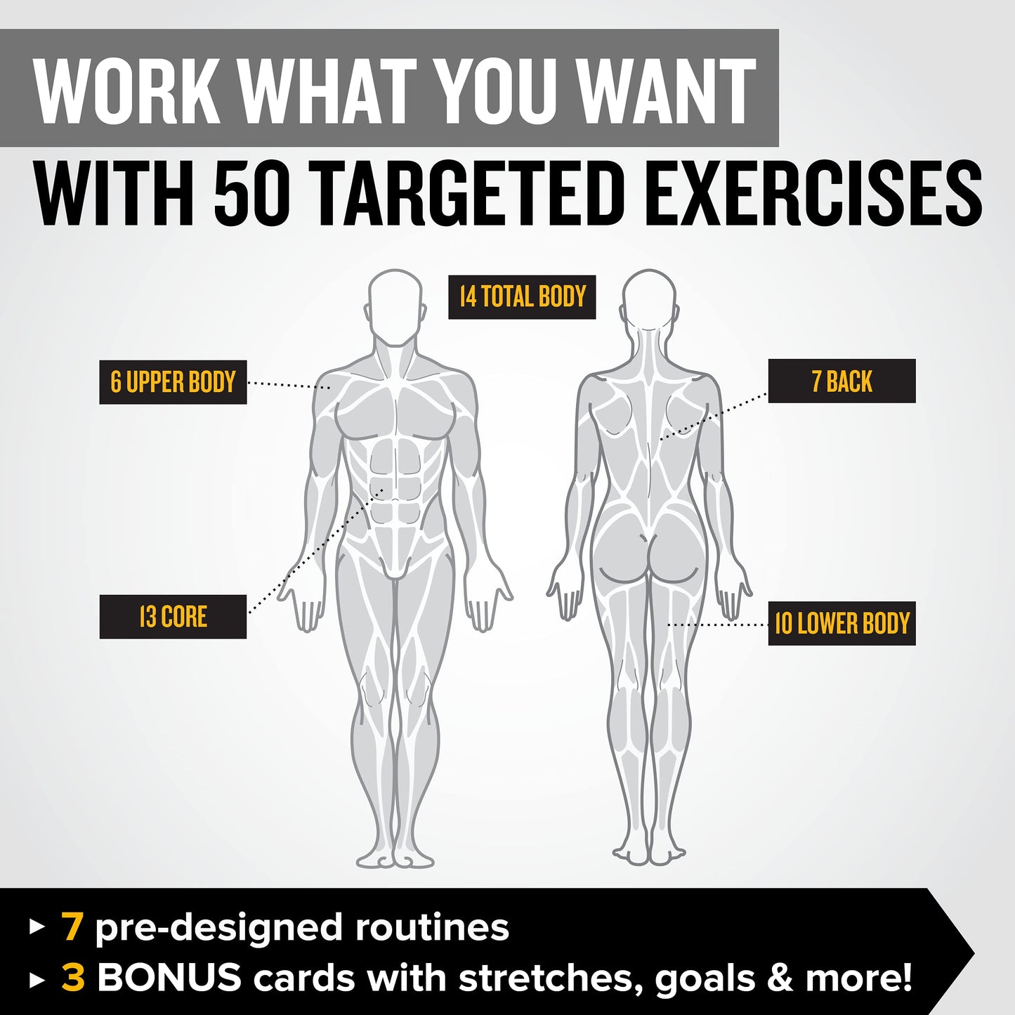 NewMe Fitness Stretching Workout Cards, Instructional Fitness Deck for Women & Men, Beginner Fitness Guide to Training Exercises at Home or Gym - My Store