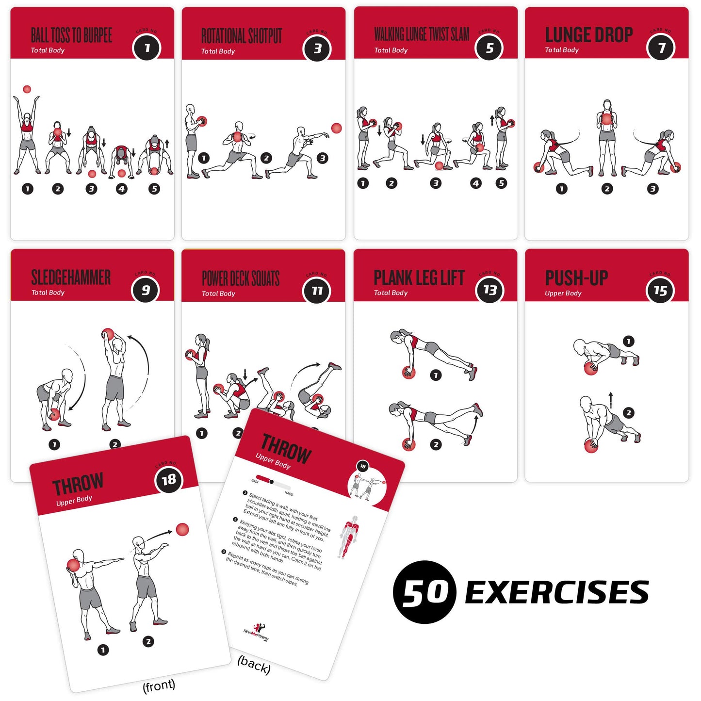 NewMe Fitness Stretching Workout Cards, Instructional Fitness Deck for Women & Men, Beginner Fitness Guide to Training Exercises at Home or Gym - My Store
