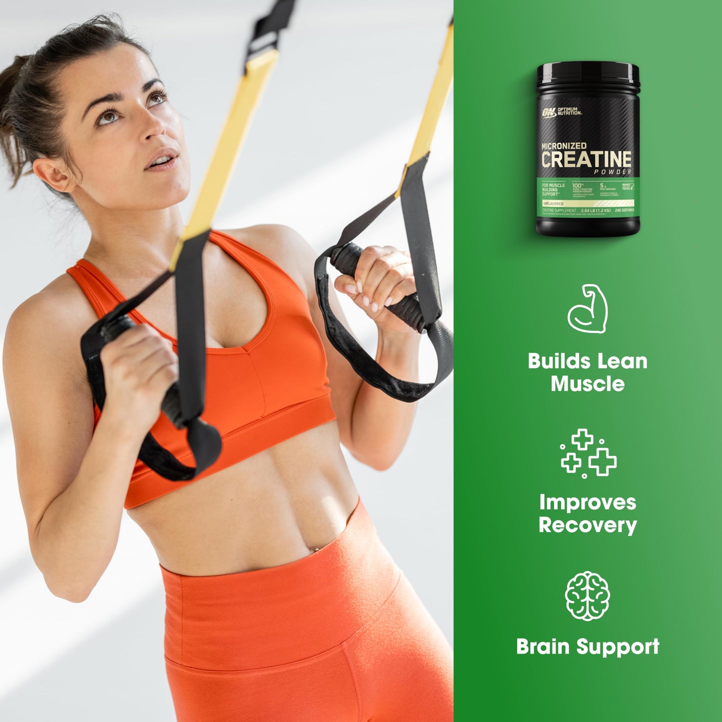 Optimum Nutrition Micronized Creatine Monohydrate Powder, Unflavored, 60 Servings, 300 Grams (Packaging May Vary) - My Store