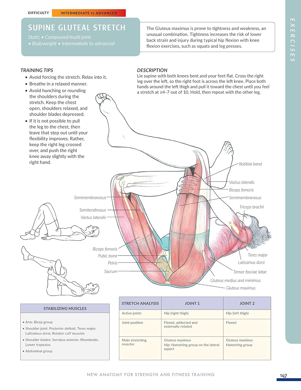 New Anatomy for Strength & Fitness Training: An Illustrated Guide to Your Muscles in Action Including Exercises Used in CrossFit (R), P90X (R), and Other Popular Fitness Programs (IMM Lifestyle Books) - My Store