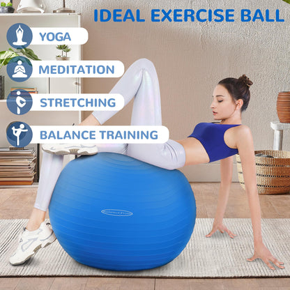 Anti-Burst and Slip Resistant Exercise Yoga Fitness Birthing Ball with Quick Pump, 2,000-Pound Capacity, Multiple Colors and Sizes - My Store