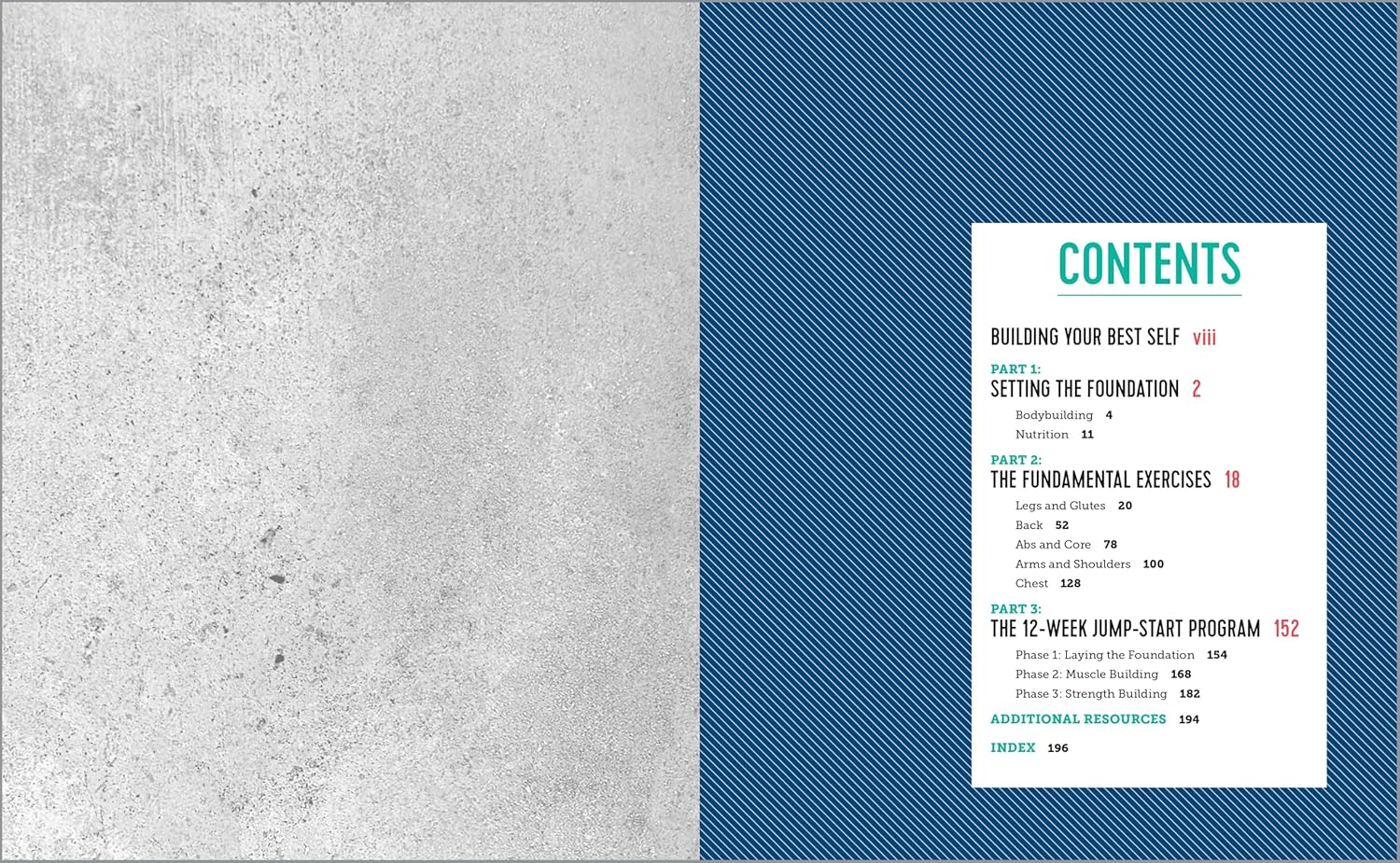 Bodybuilding For Beginners: A 12-Week Program to Build Muscle and Burn Fat - My Store