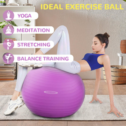 Anti-Burst and Slip Resistant Exercise Yoga Fitness Birthing Ball with Quick Pump, 2,000-Pound Capacity, Multiple Colors and Sizes - My Store