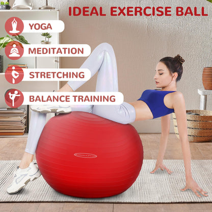 Anti-Burst and Slip Resistant Exercise Yoga Fitness Birthing Ball with Quick Pump, 2,000-Pound Capacity, Multiple Colors and Sizes - My Store