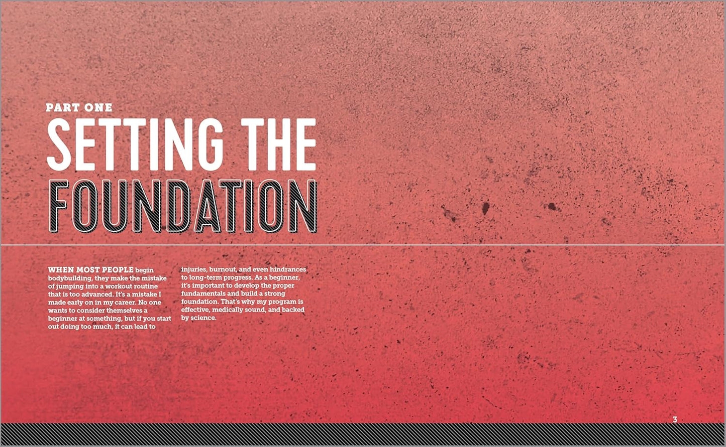 Bodybuilding For Beginners: A 12-Week Program to Build Muscle and Burn Fat - My Store