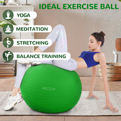 Anti-Burst and Slip Resistant Exercise Yoga Fitness Birthing Ball with Quick Pump, 2,000-Pound Capacity, Multiple Colors and Sizes - My Store