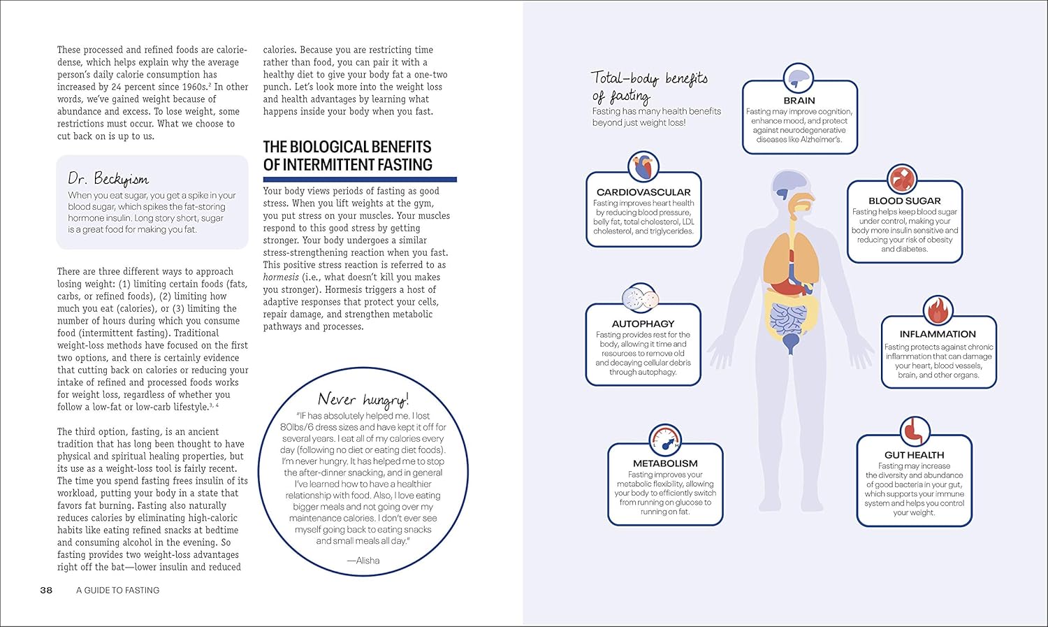 Intermittent Fasting Diet Guide and Cookbook: A Complete Guide to 16:8, OMAD, 5:2, Alternate-day, and More - My Store
