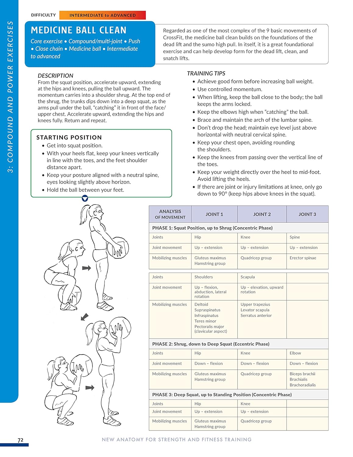 New Anatomy for Strength & Fitness Training: An Illustrated Guide to Your Muscles in Action Including Exercises Used in CrossFit (R), P90X (R), and Other Popular Fitness Programs (IMM Lifestyle Books) - My Store